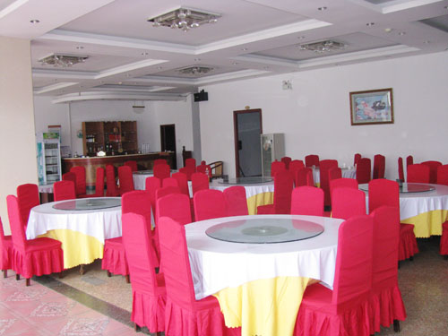 ��╞���Ƶ�