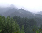 ��Դ�Ⱦ��^(q��)