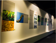 �Ї�(gu��)�x�ݲ����^